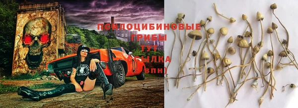стаф Алексин